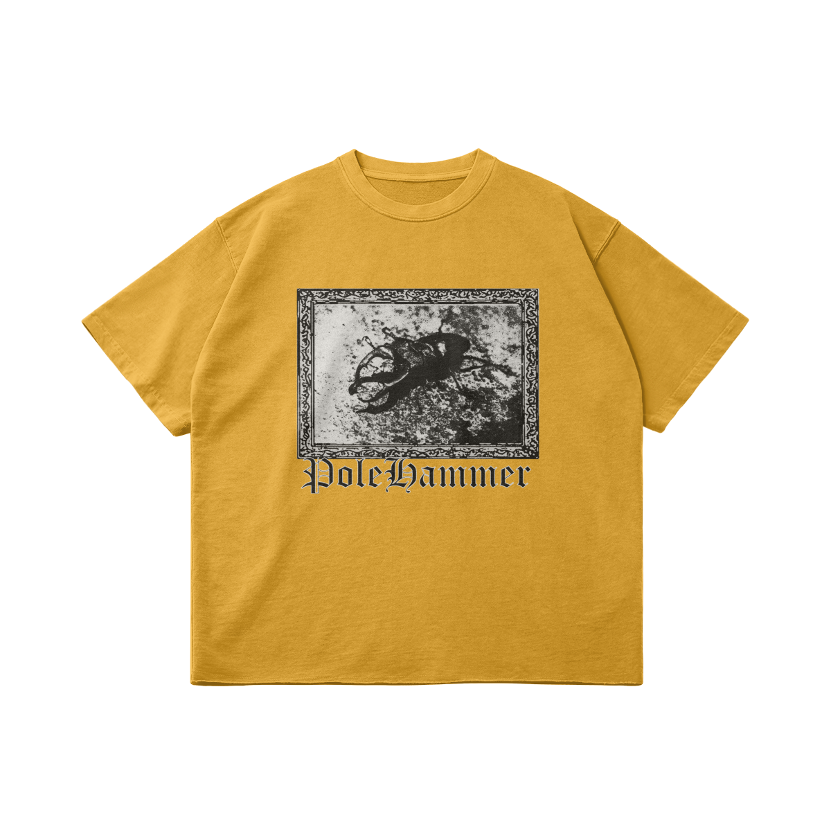 428198-Y23-Front Side